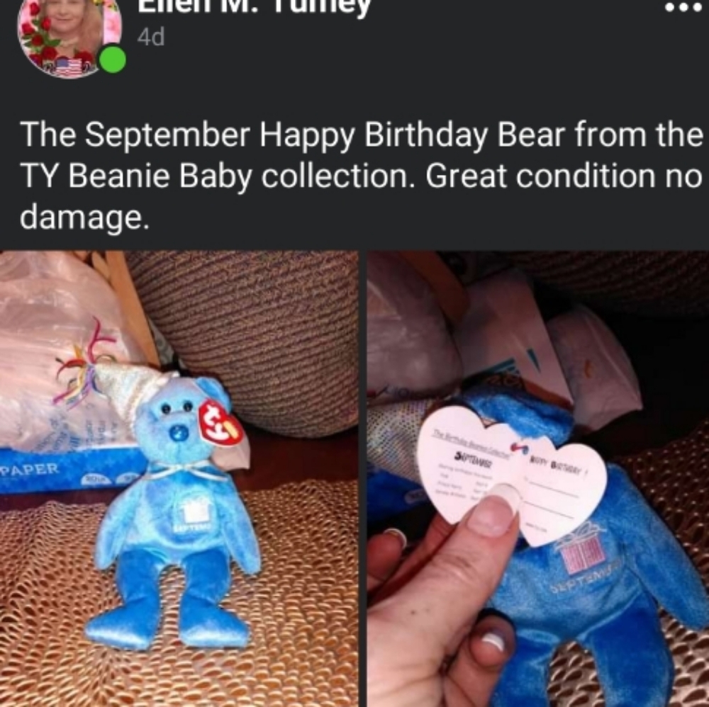 TY Beanie Babies